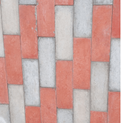 CORAL -019